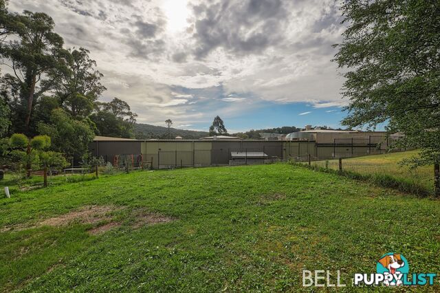 2 5 Boronia Crescent COCKATOO VIC 3781