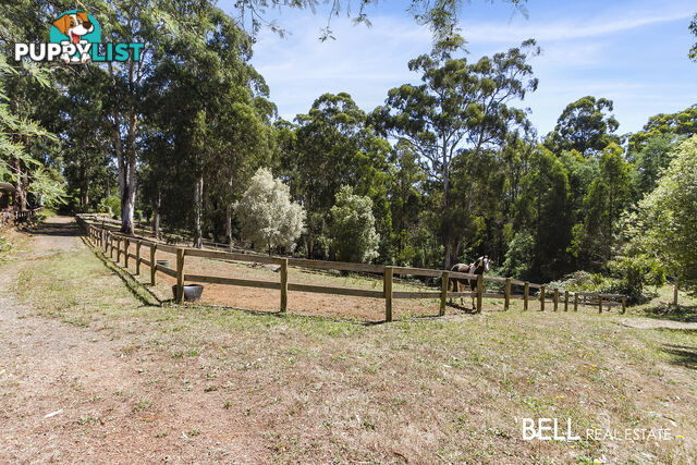 95 Beenak East Road GEMBROOK VIC 3783