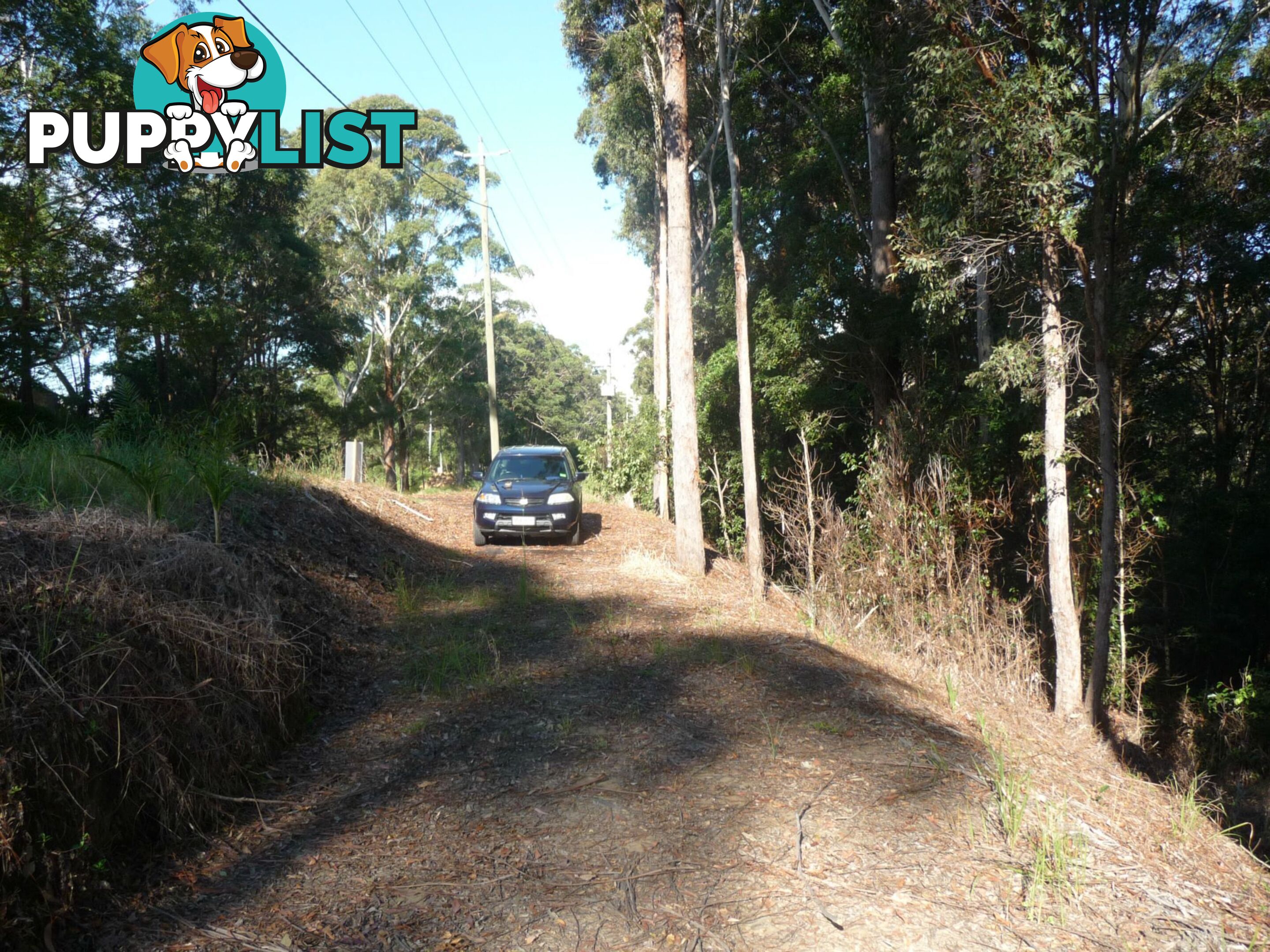 Towen Mountain QLD 4560