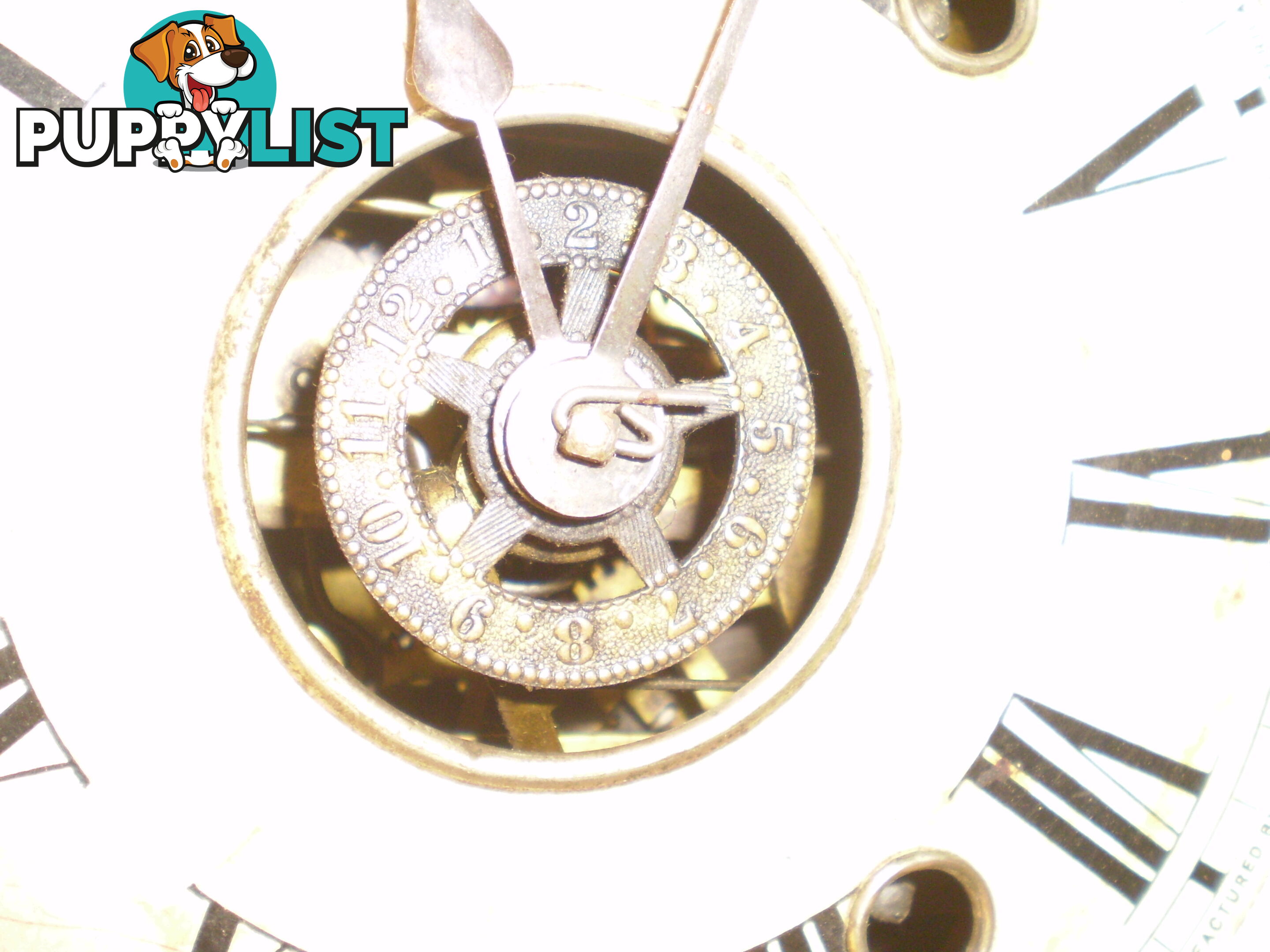 Ansonia Clock