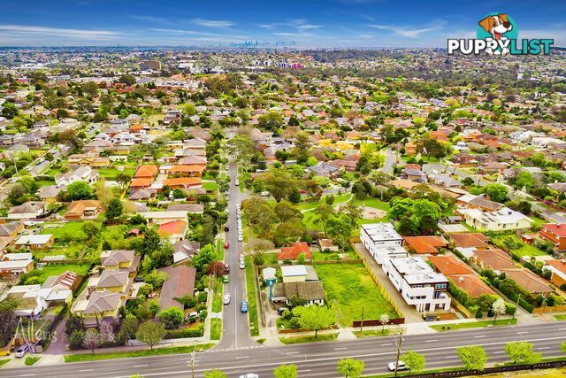 2 Worrall Street BURWOOD VIC 3125