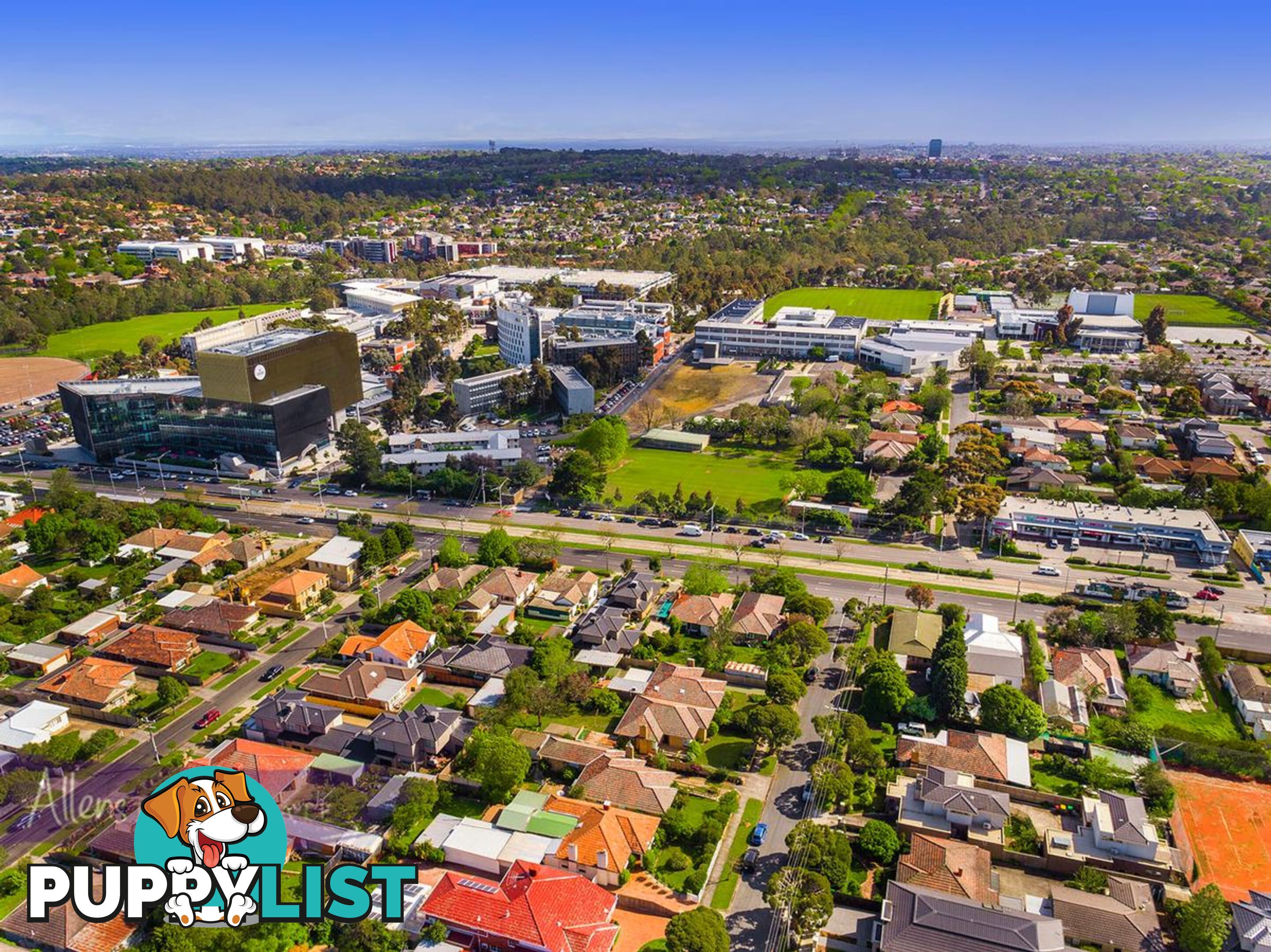 2 Bennett Street BURWOOD VIC 3125