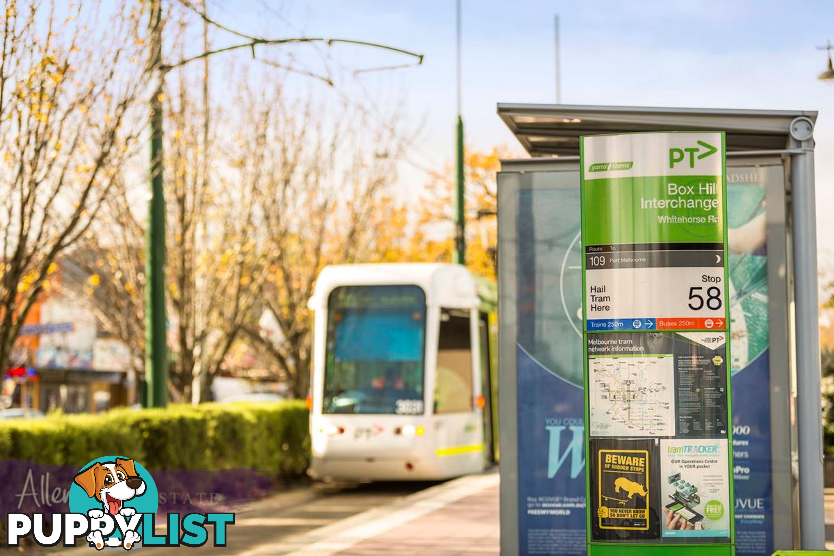 14 3-5 John Street BOX HILL VIC 3128