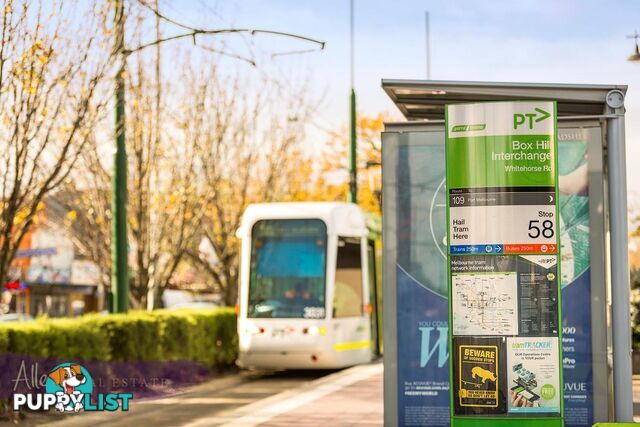 14 3-5 John Street BOX HILL VIC 3128