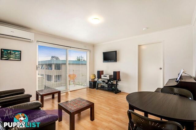 14 3-5 John Street BOX HILL VIC 3128