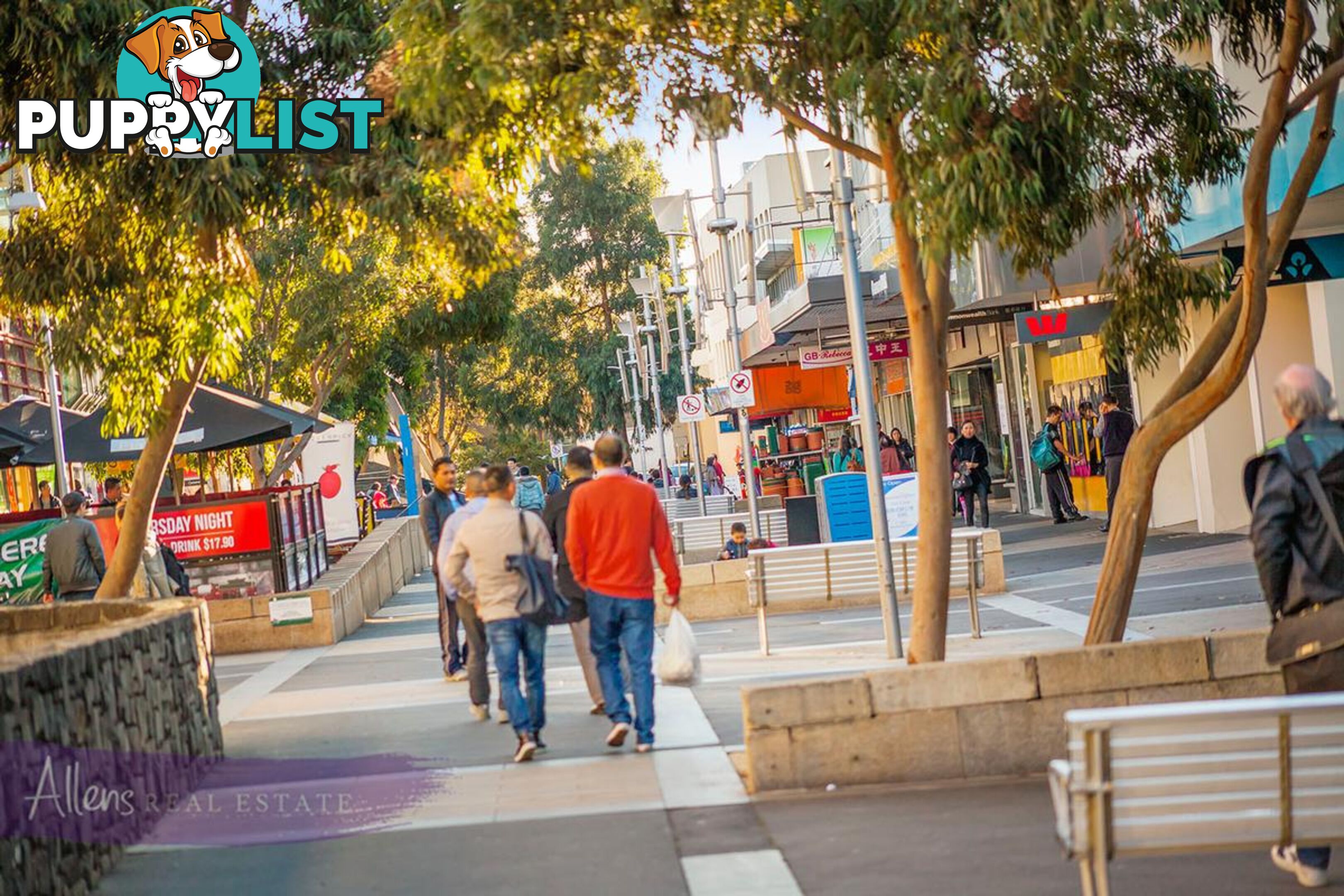 14 3-5 John Street BOX HILL VIC 3128