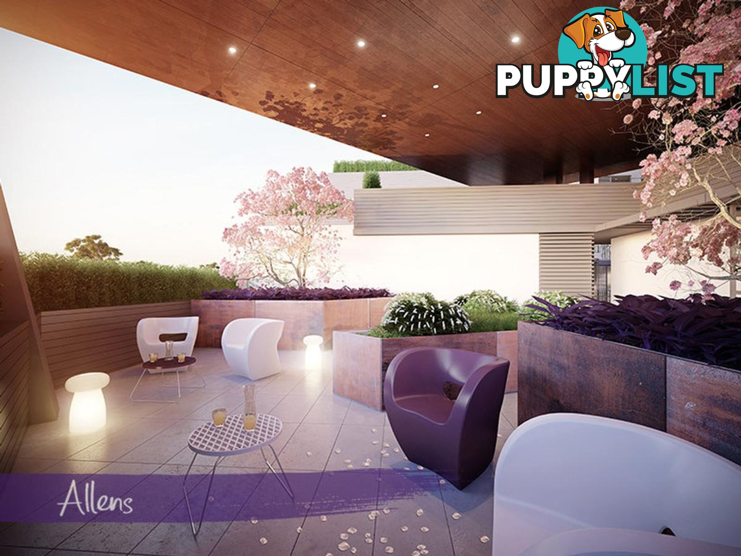 216 193-195 Springvale Road NUNAWADING VIC 3131