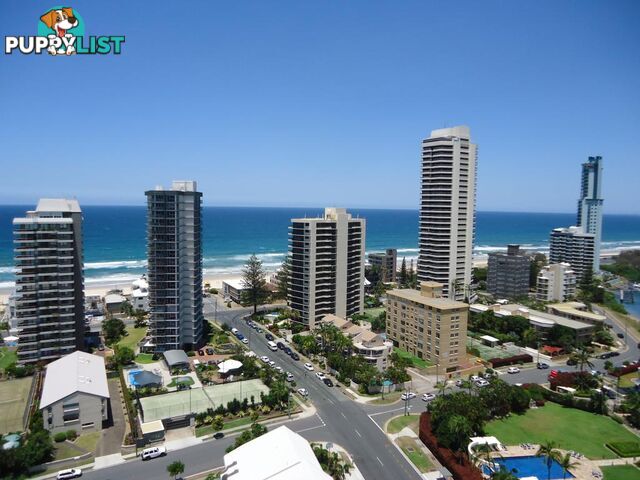 23/15-21 Breaker Street MAIN BEACH QLD 4217