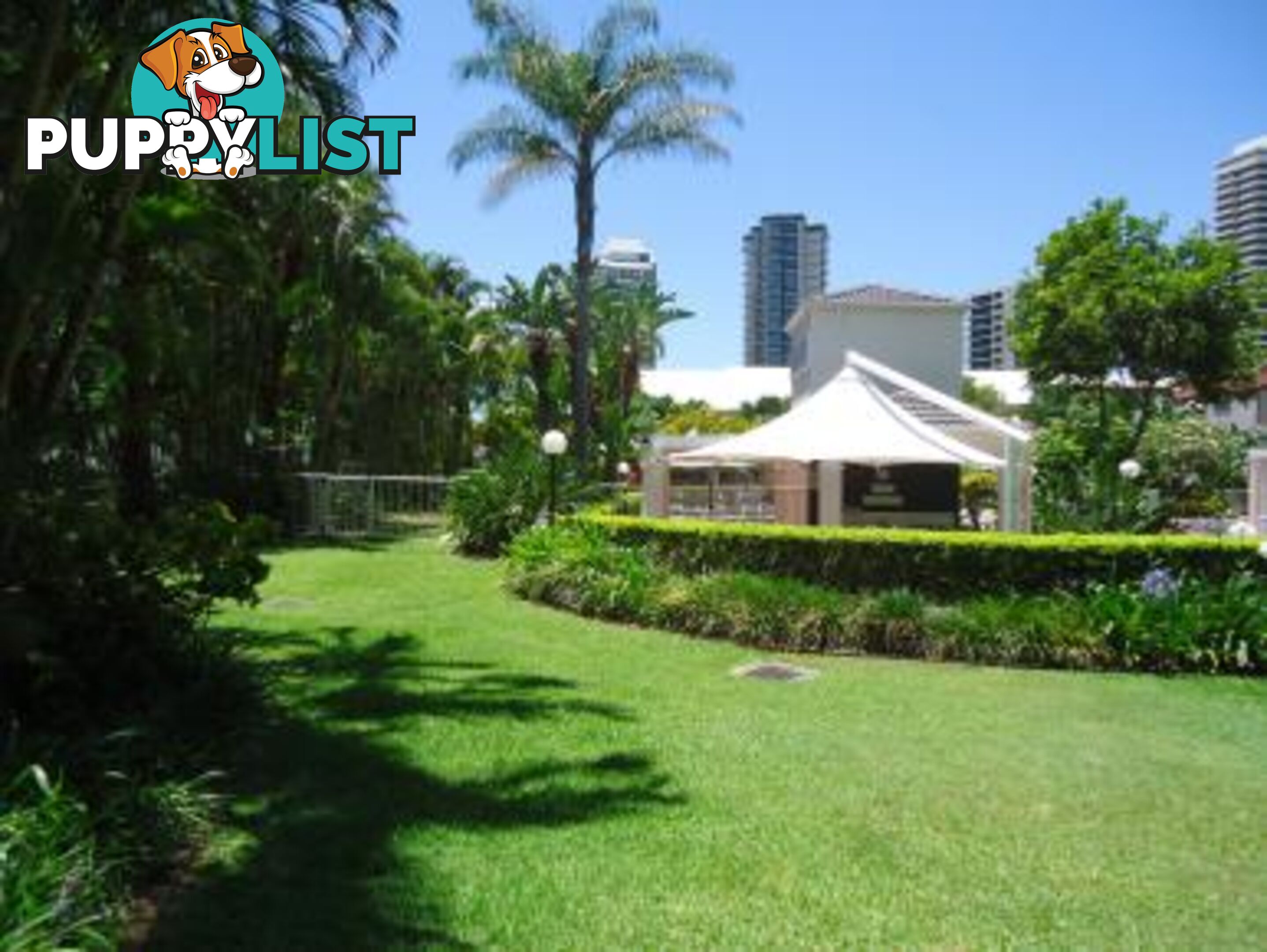 23/15-21 Breaker Street MAIN BEACH QLD 4217