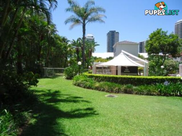 23/15-21 Breaker Street MAIN BEACH QLD 4217