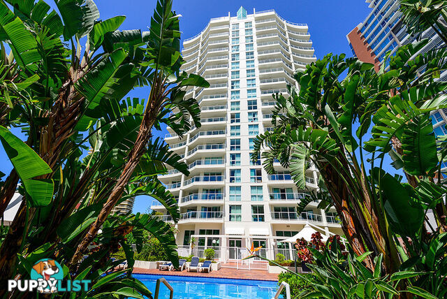 23/15-21 Breaker Street MAIN BEACH QLD 4217