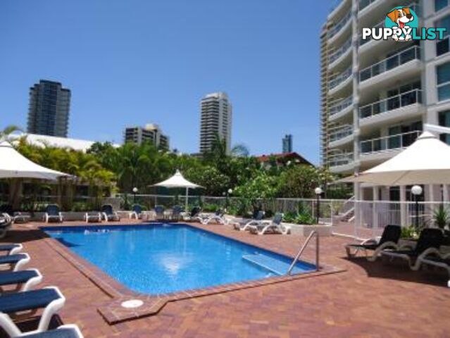 23/15-21 Breaker Street MAIN BEACH QLD 4217