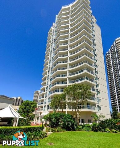 23/15-21 Breaker Street MAIN BEACH QLD 4217