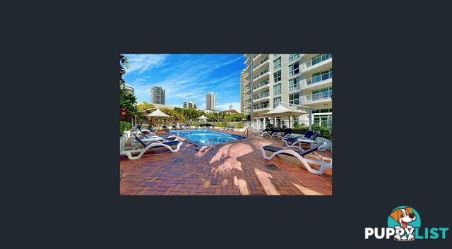 23/15-21 Breaker Street MAIN BEACH QLD 4217