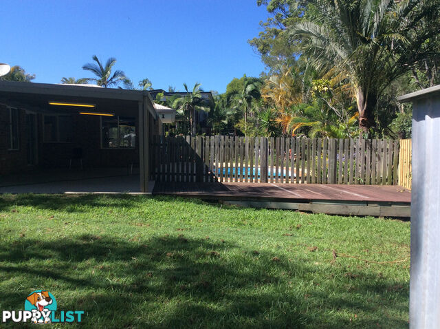 47 Golf Course Drive TEWANTIN QLD 4565