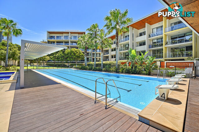 14 Kingfisher /154 Musgrave Avenue SOUTHPORT QLD 4215