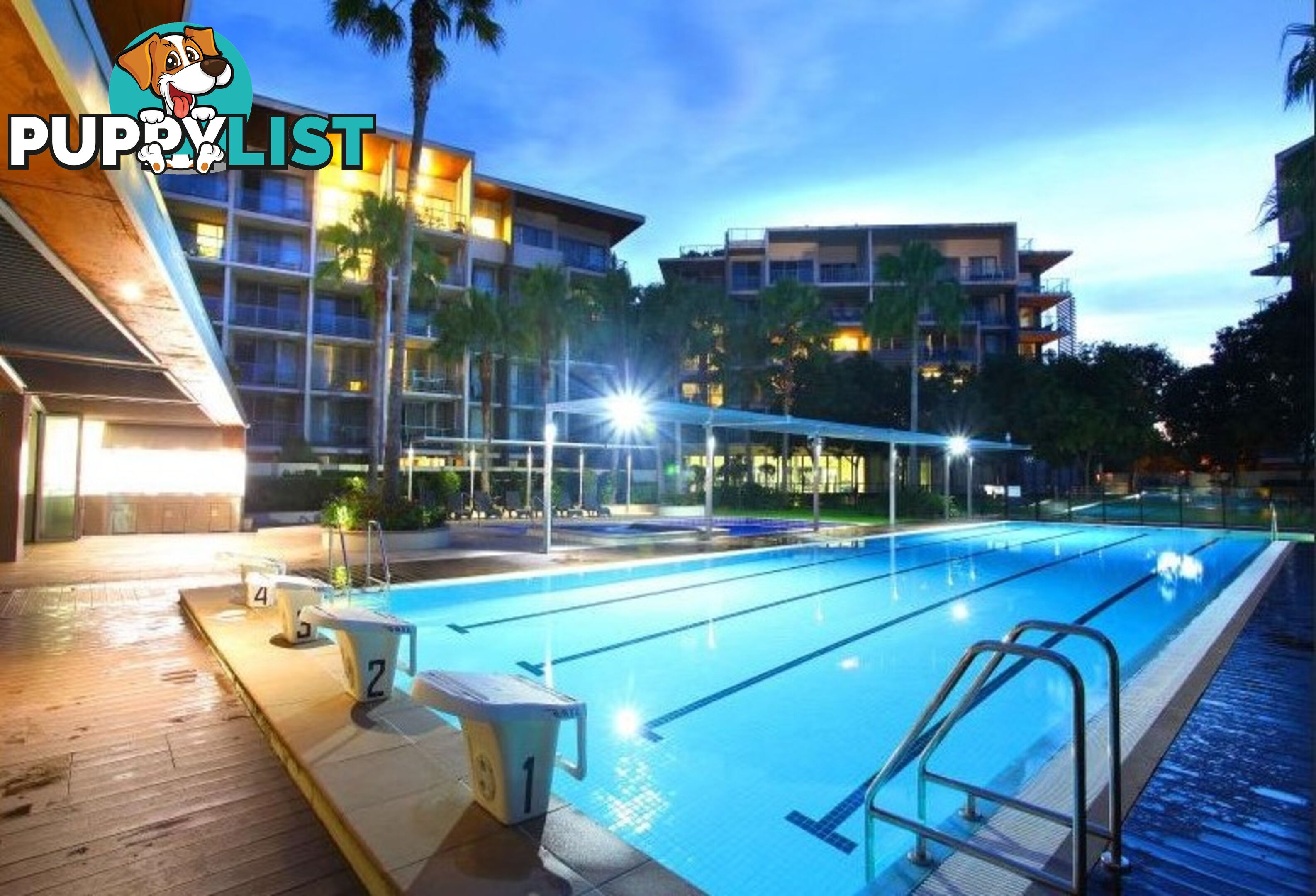 14 Kingfisher /154 Musgrave Avenue SOUTHPORT QLD 4215