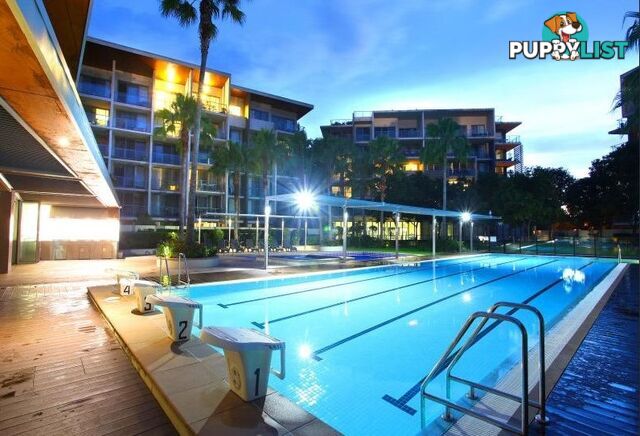14 Kingfisher /154 Musgrave Avenue SOUTHPORT QLD 4215
