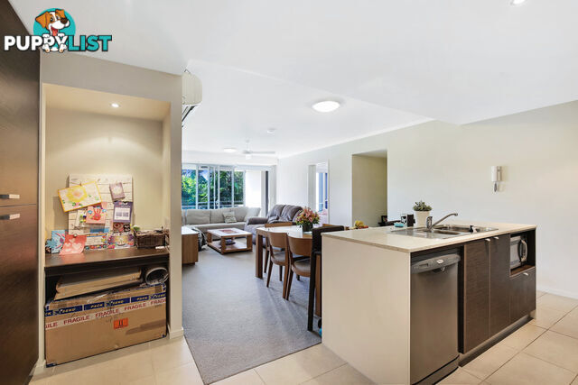 14 Kingfisher /154 Musgrave Avenue SOUTHPORT QLD 4215