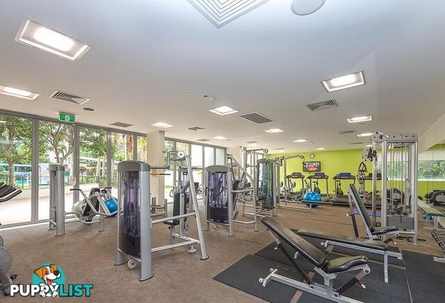 14 Kingfisher /154 Musgrave Avenue SOUTHPORT QLD 4215
