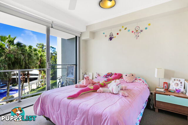 14 Kingfisher /154 Musgrave Avenue SOUTHPORT QLD 4215
