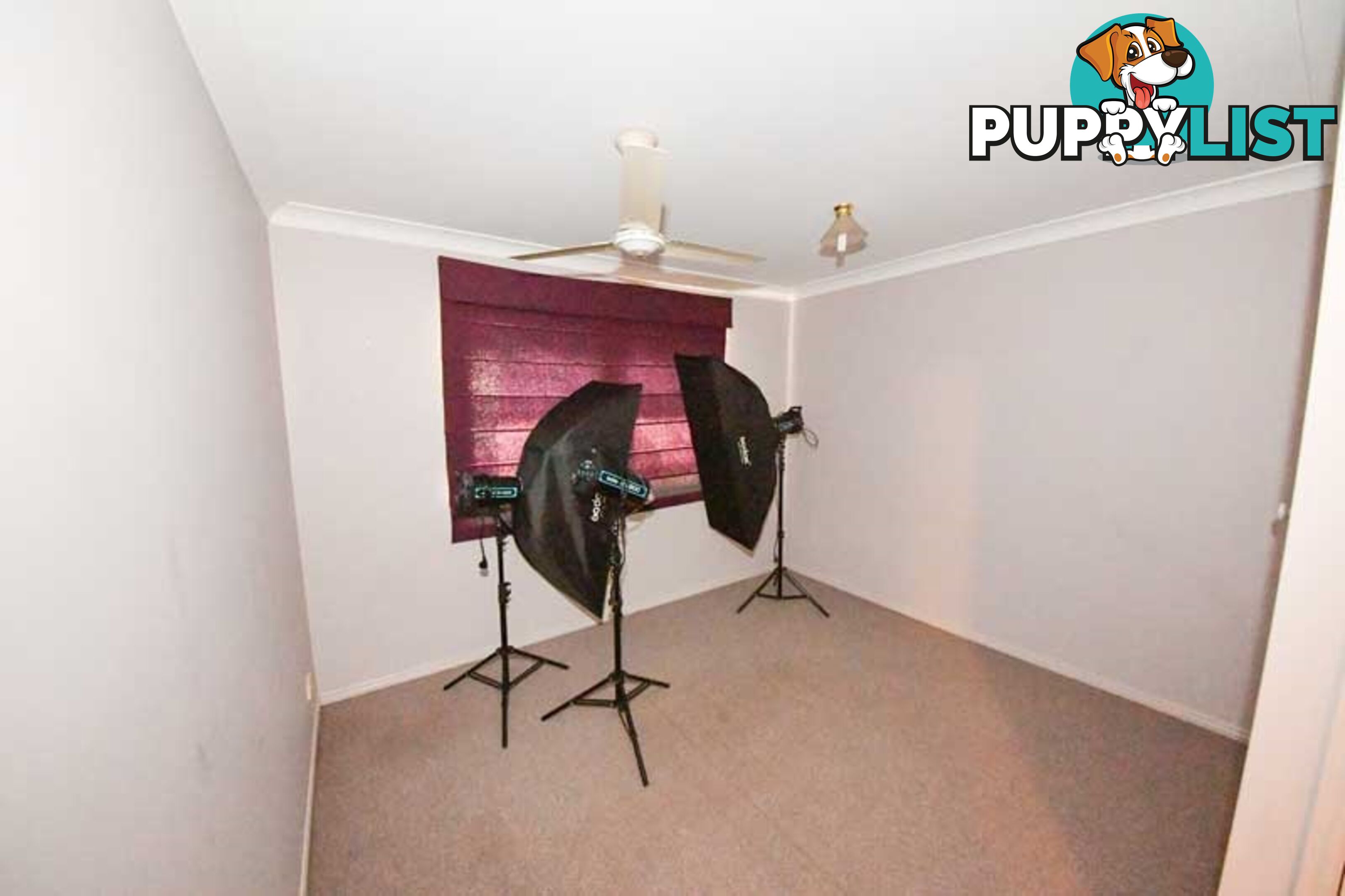 17/15 Daisy Hill Road DAISY HILL QLD 4127