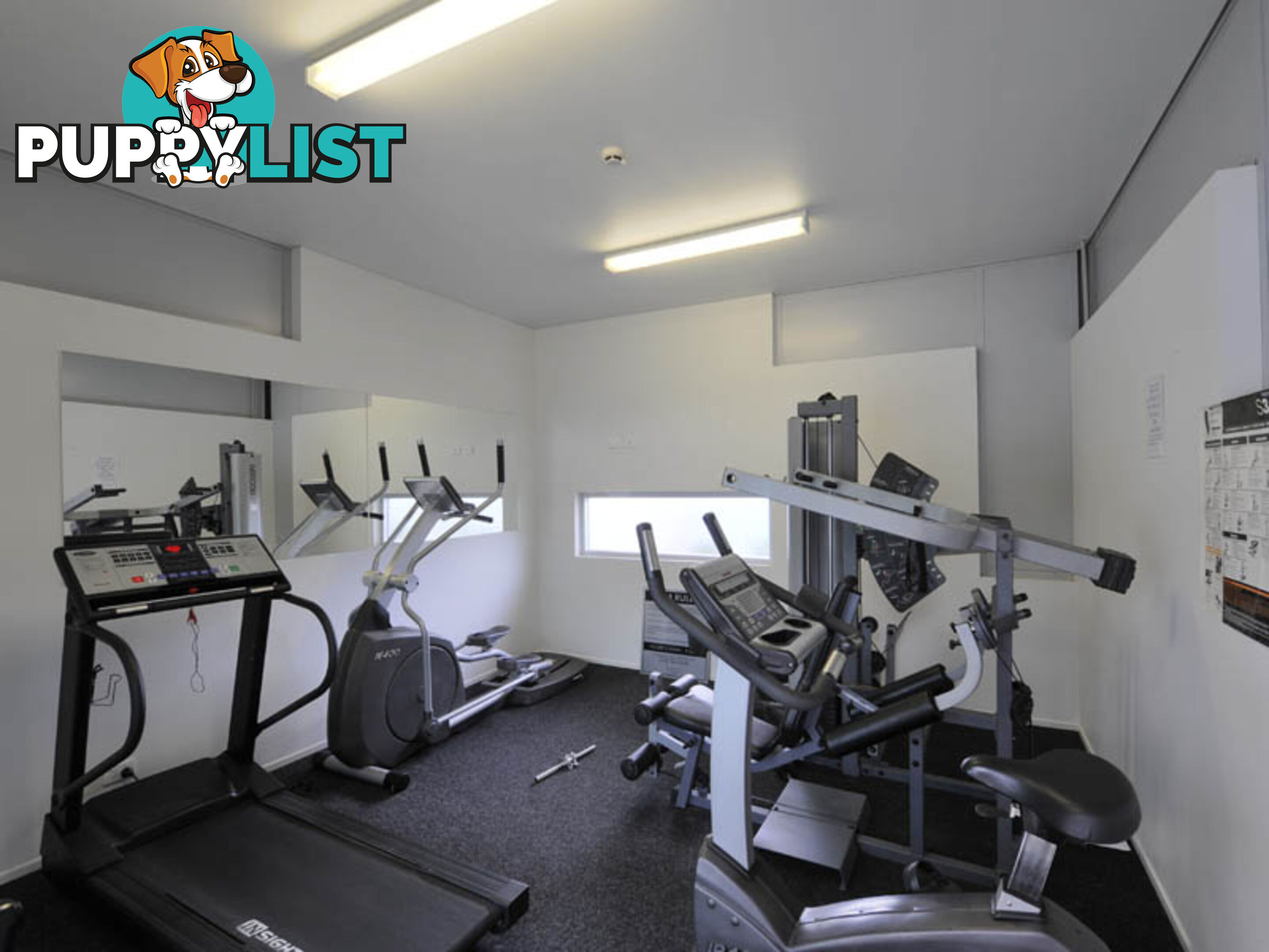 KANGAROO POINT QLD 4169