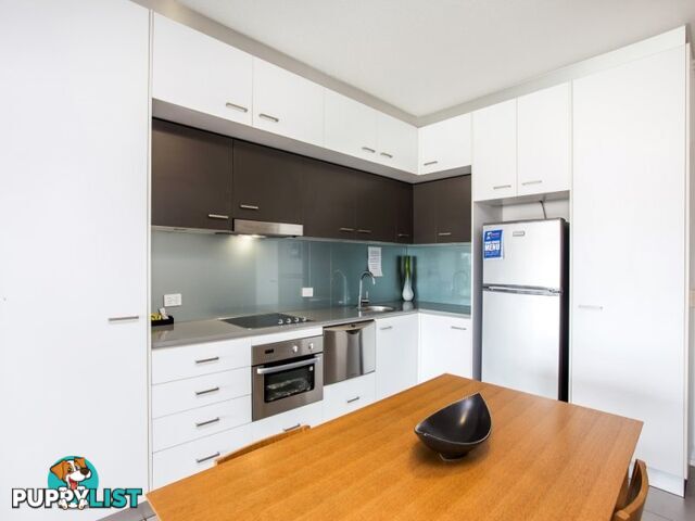 KANGAROO POINT QLD 4169