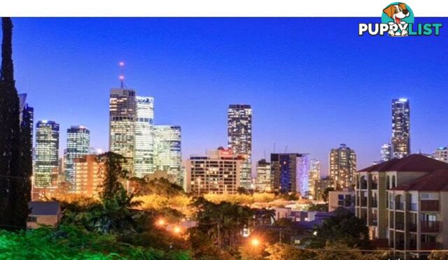 KANGAROO POINT QLD 4169