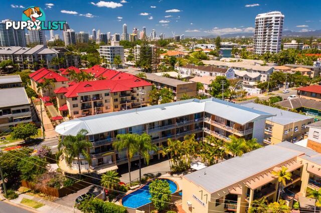 45 Peninsular Dr SURFERS PARADISE QLD 4217