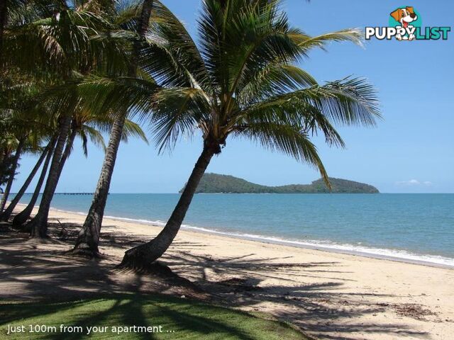PALM COVE QLD 4879