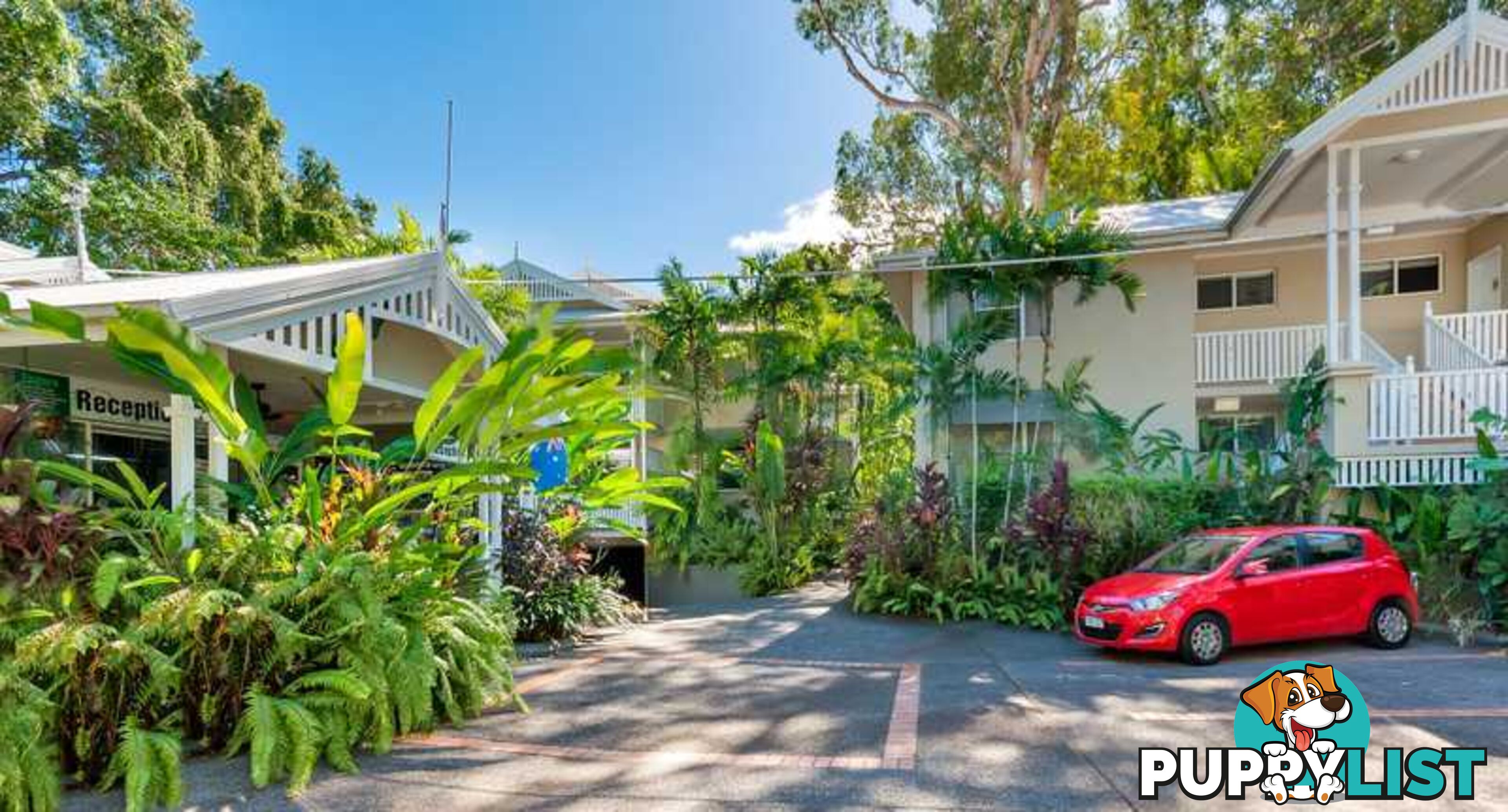 PALM COVE QLD 4879