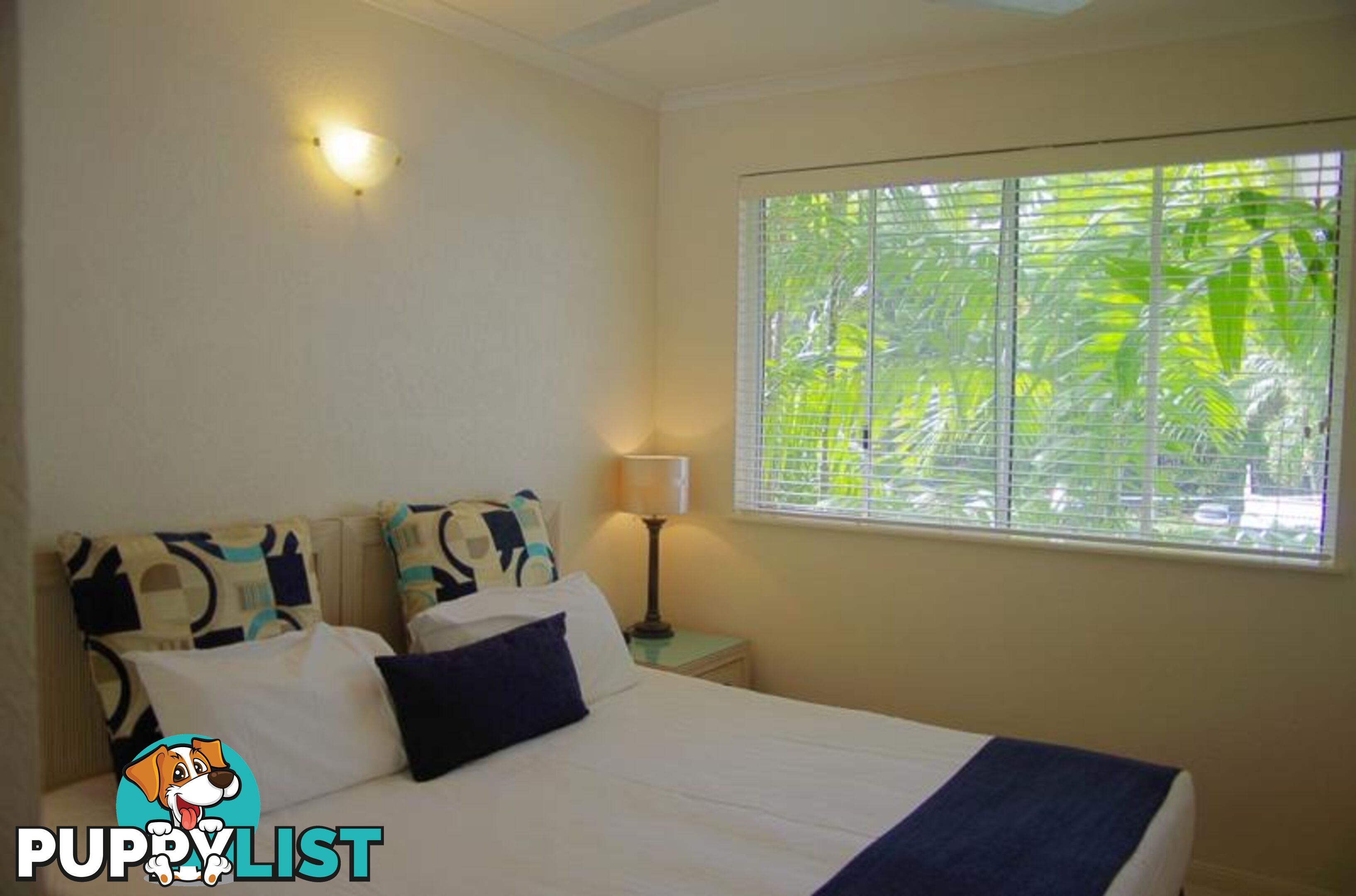 PALM COVE QLD 4879