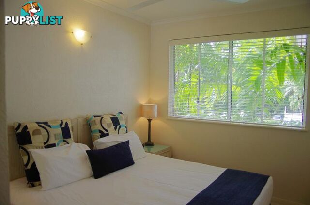 PALM COVE QLD 4879