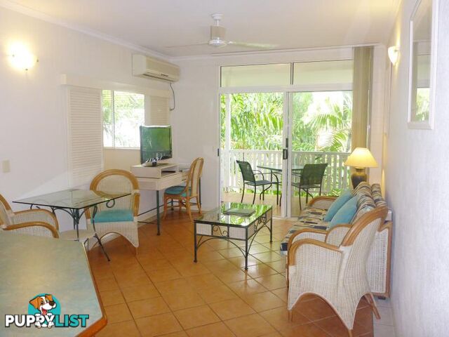 PALM COVE QLD 4879