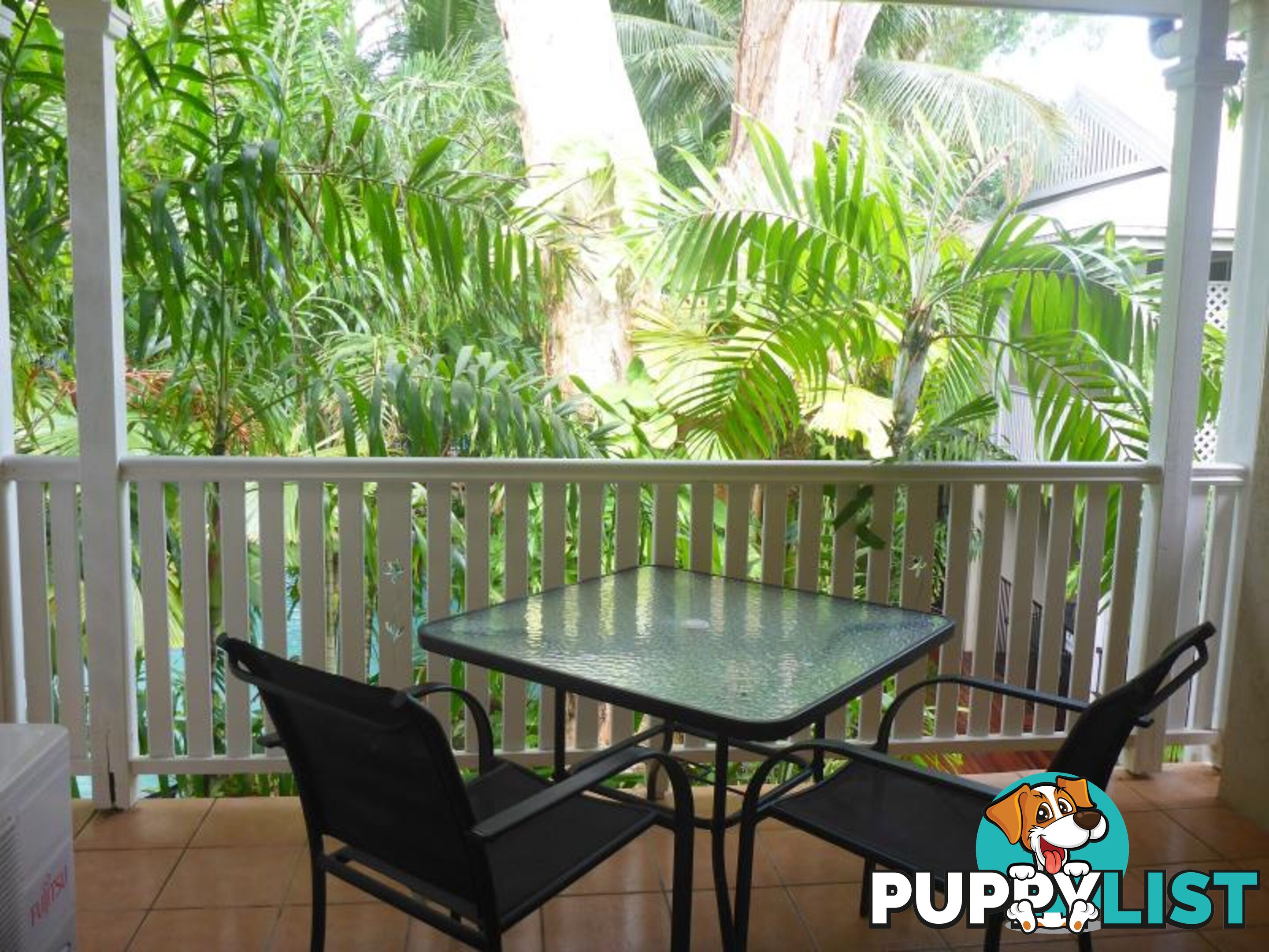 PALM COVE QLD 4879