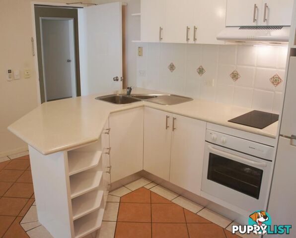 PALM COVE QLD 4879