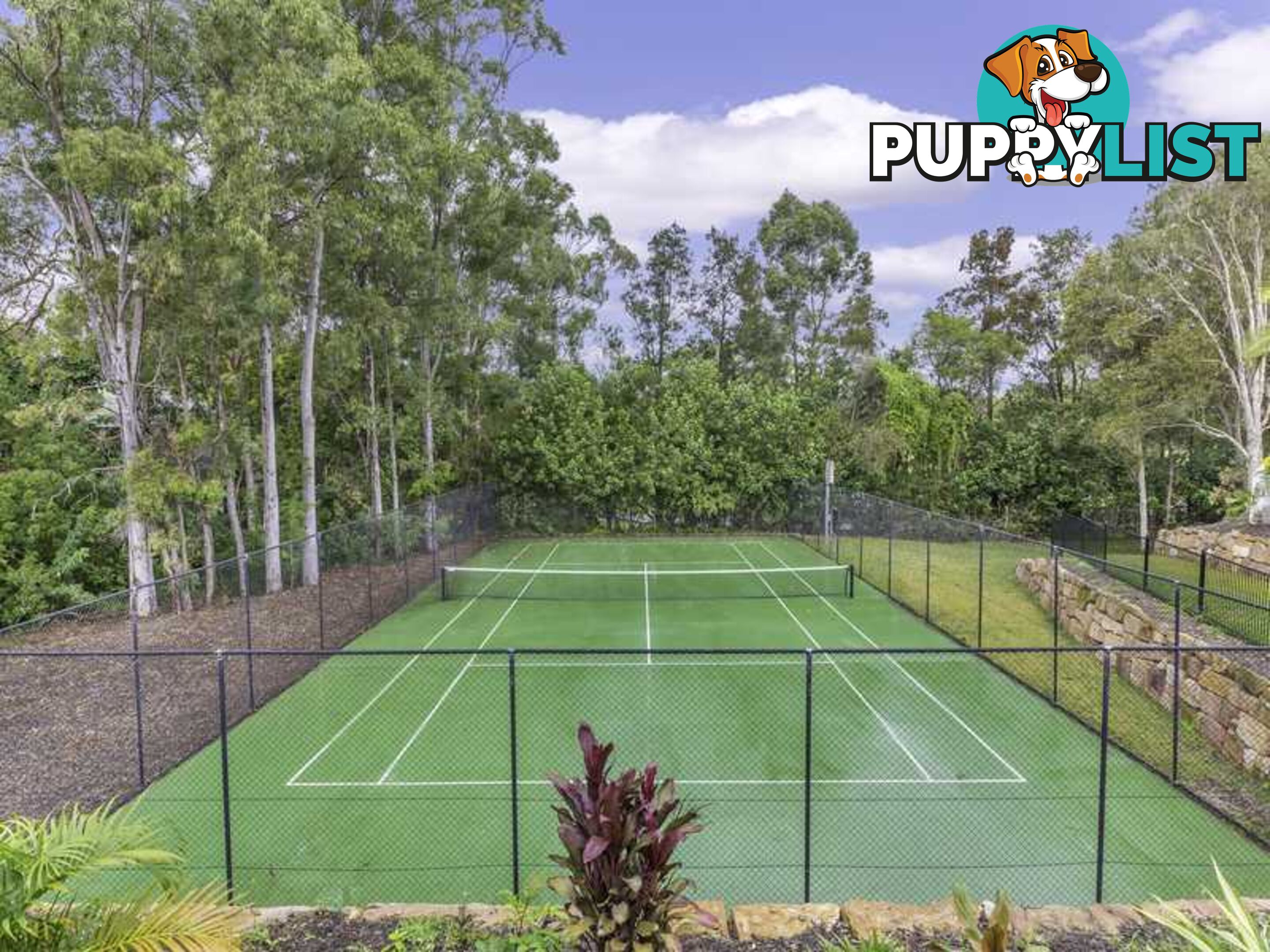 51 Cottesloe Drive ROBINA QLD 4226