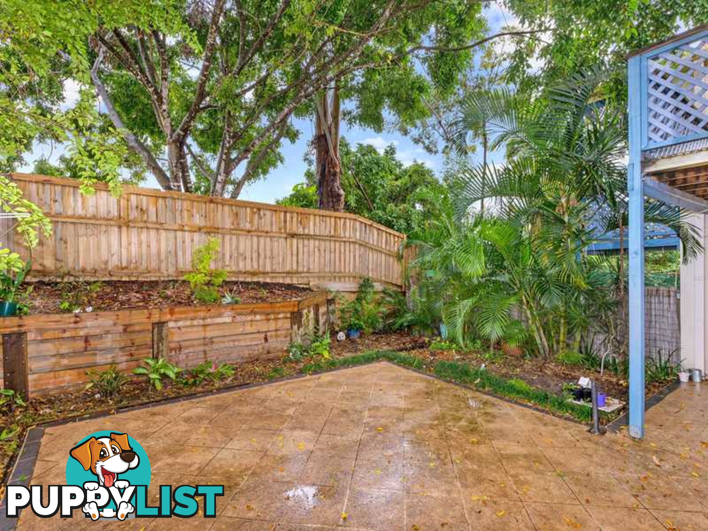 51 Cottesloe Drive ROBINA QLD 4226