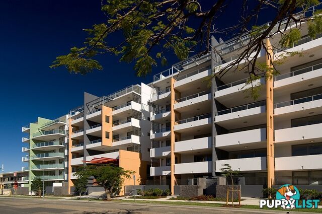 37/20 Anthony Street WEST END QLD 4101