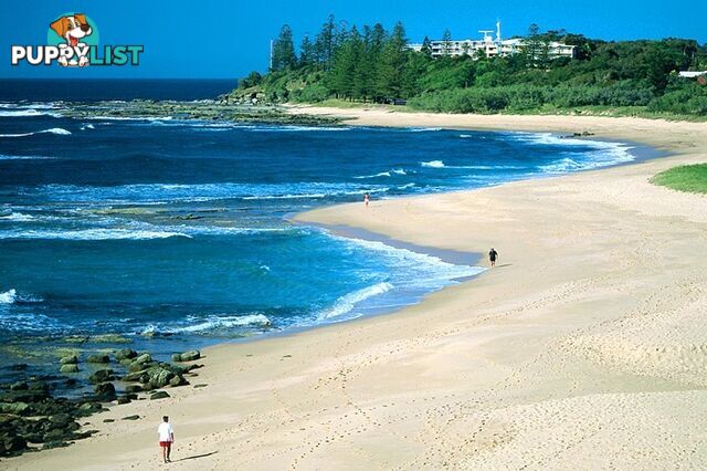 SHELLY BEACH QLD 4551