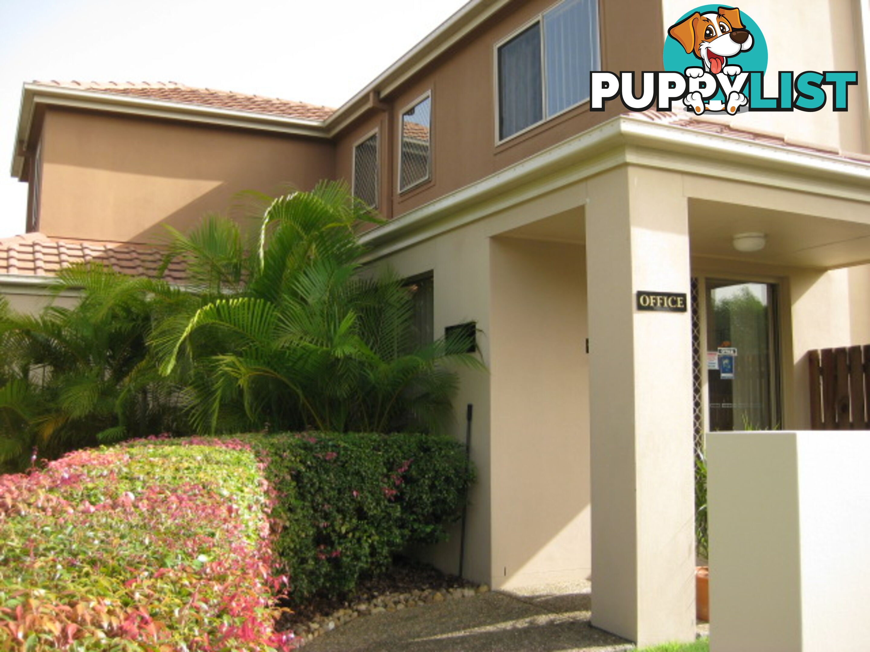 74 Universal St PACIFIC PINES QLD 4211