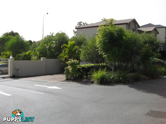 74 Universal St PACIFIC PINES QLD 4211