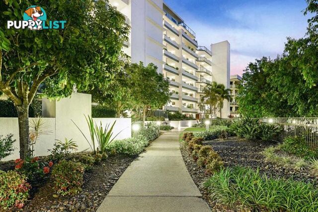 1304/1 Mungar Street MAROOCHYDORE QLD 4558