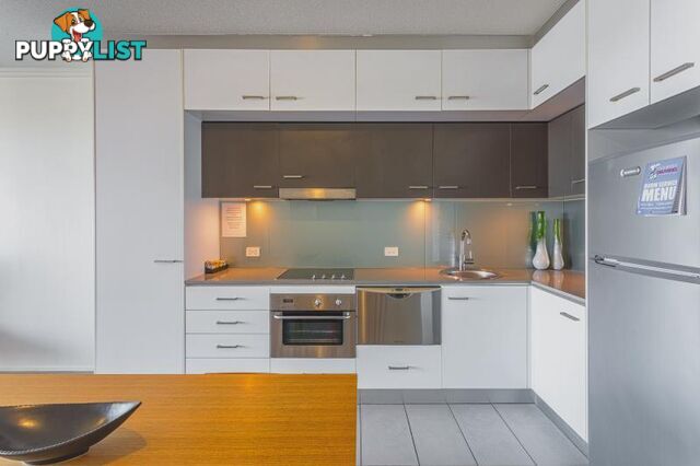 KANGAROO POINT QLD 4169