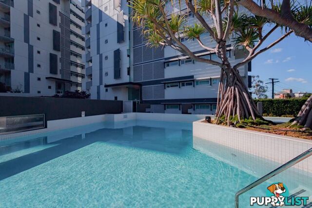 KANGAROO POINT QLD 4169
