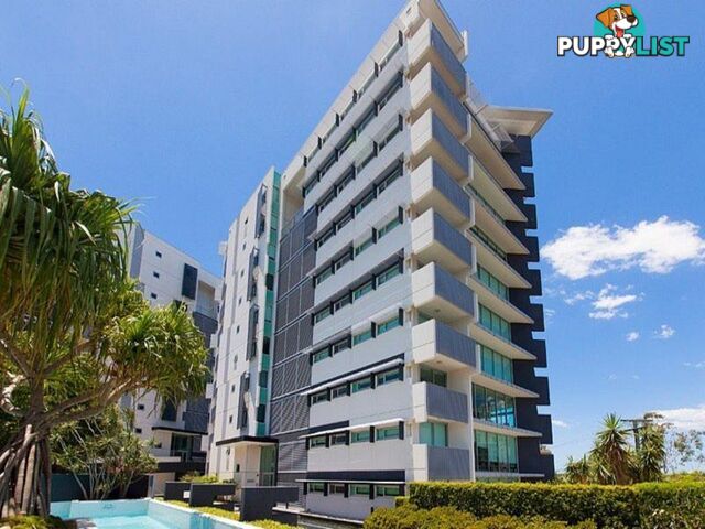 KANGAROO POINT QLD 4169