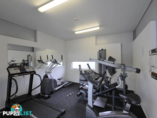 KANGAROO POINT QLD 4169