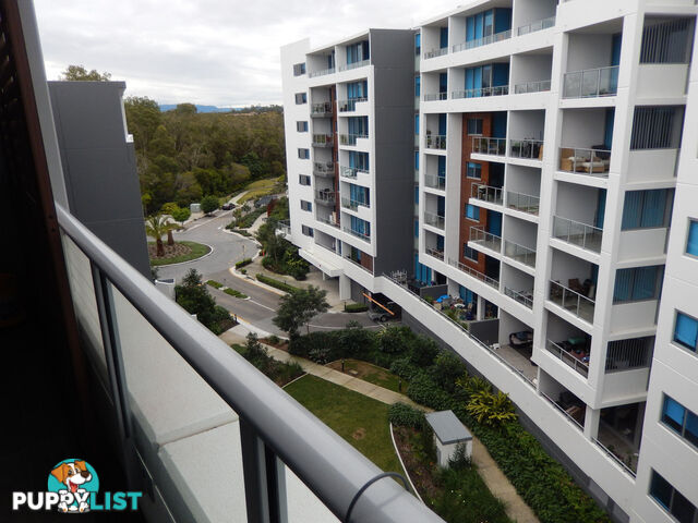 VARSITY LAKES QLD 4227
