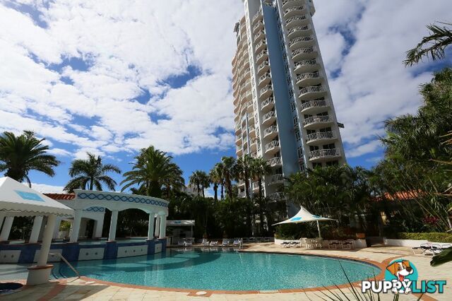 1013/2633 Gold Coast Highway BROADBEACH QLD 4218